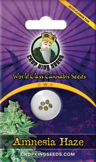Amnesia Haze Autoflowering Marijuana Seeds