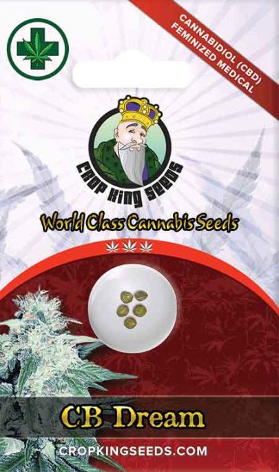 CB Dream CBD/Medical Seeds