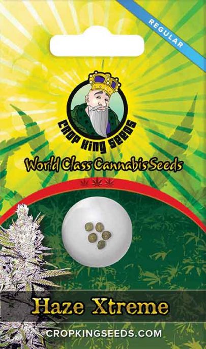 Haze Xtreme Regular Marijuana Seeds