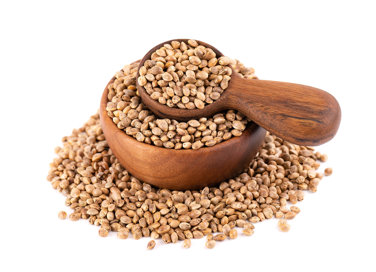 10 Basic Things you Need to Know When Starting a Cannabis Seeds Business