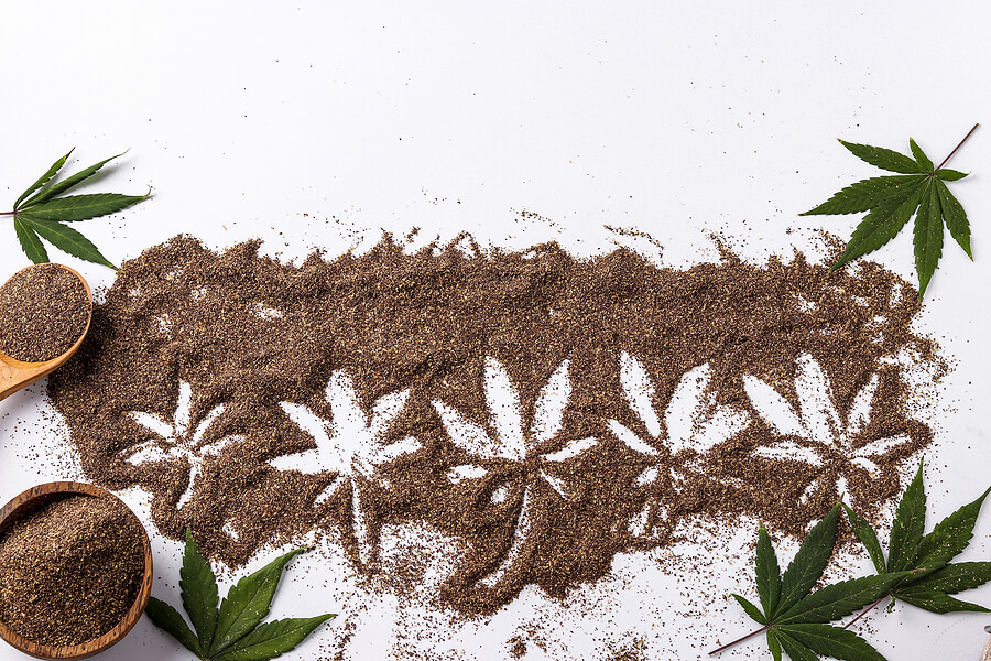 20 Surprising Facts About the Cannabis Seeds Business