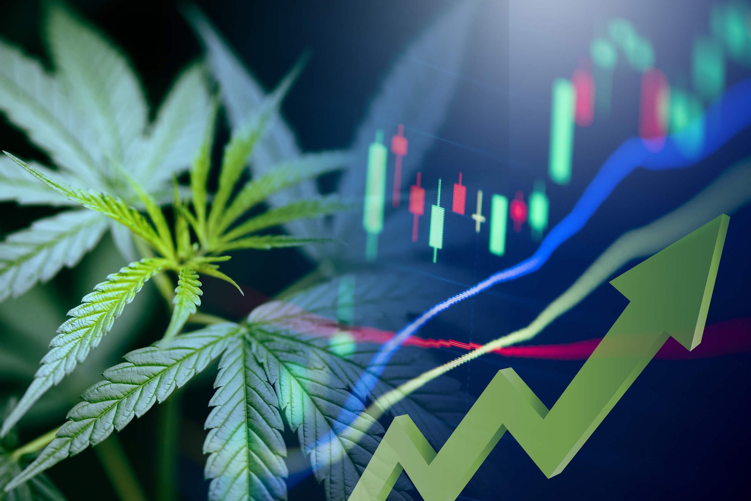 Are Marijuana Penny Stocks Worth It?