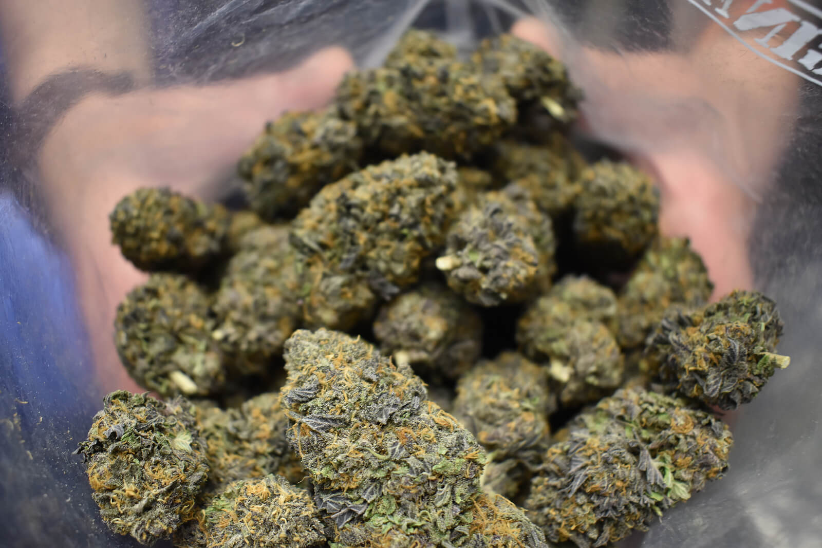 Cannabis and Psychedelics: Will They Create Good Business Ventures