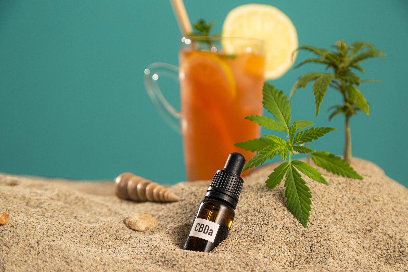 Here’s Why Beverage Companies are Investing in the Cannabis Industry