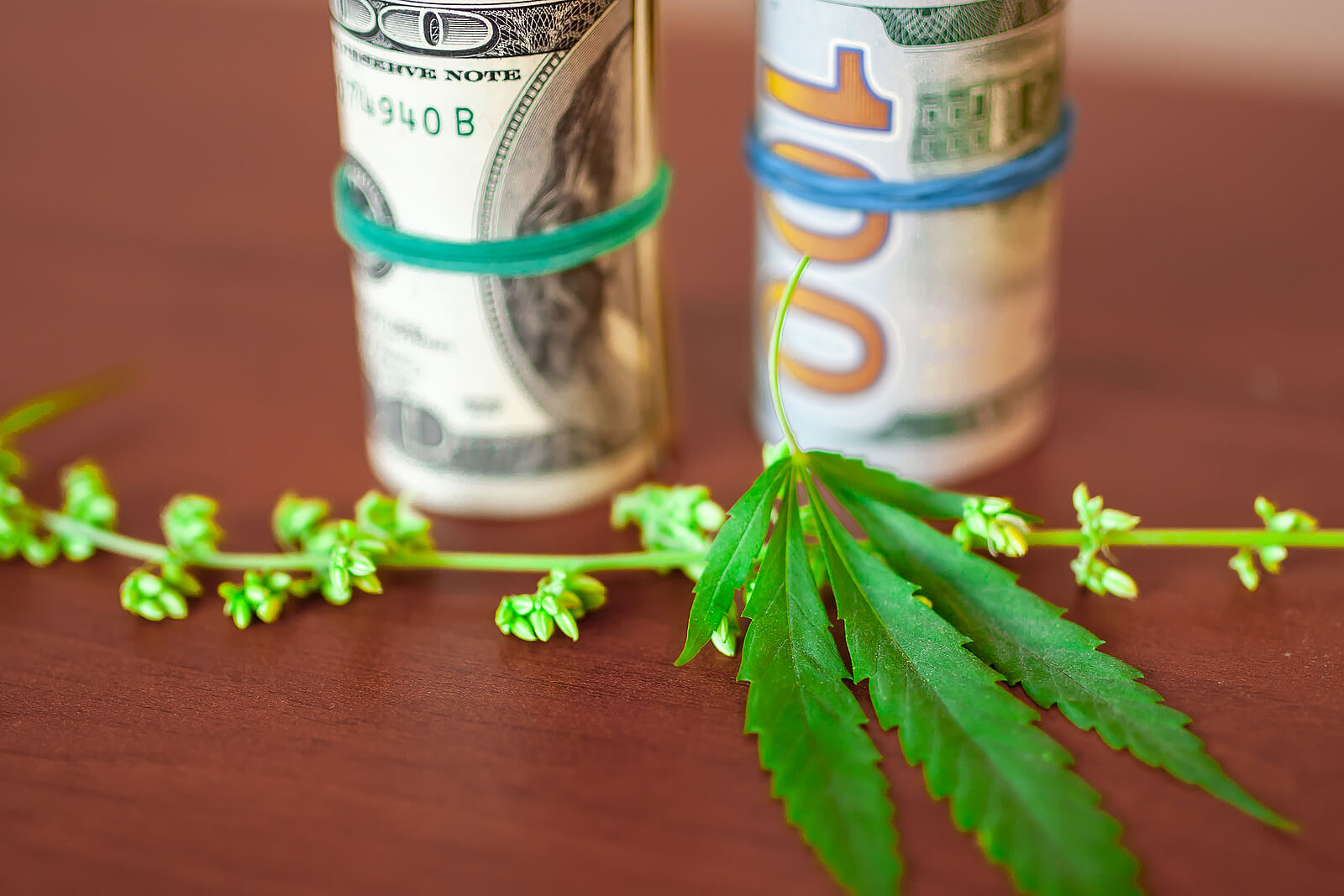 How to Buy Stock in Medical Marijuana: Tutorial for Beginners