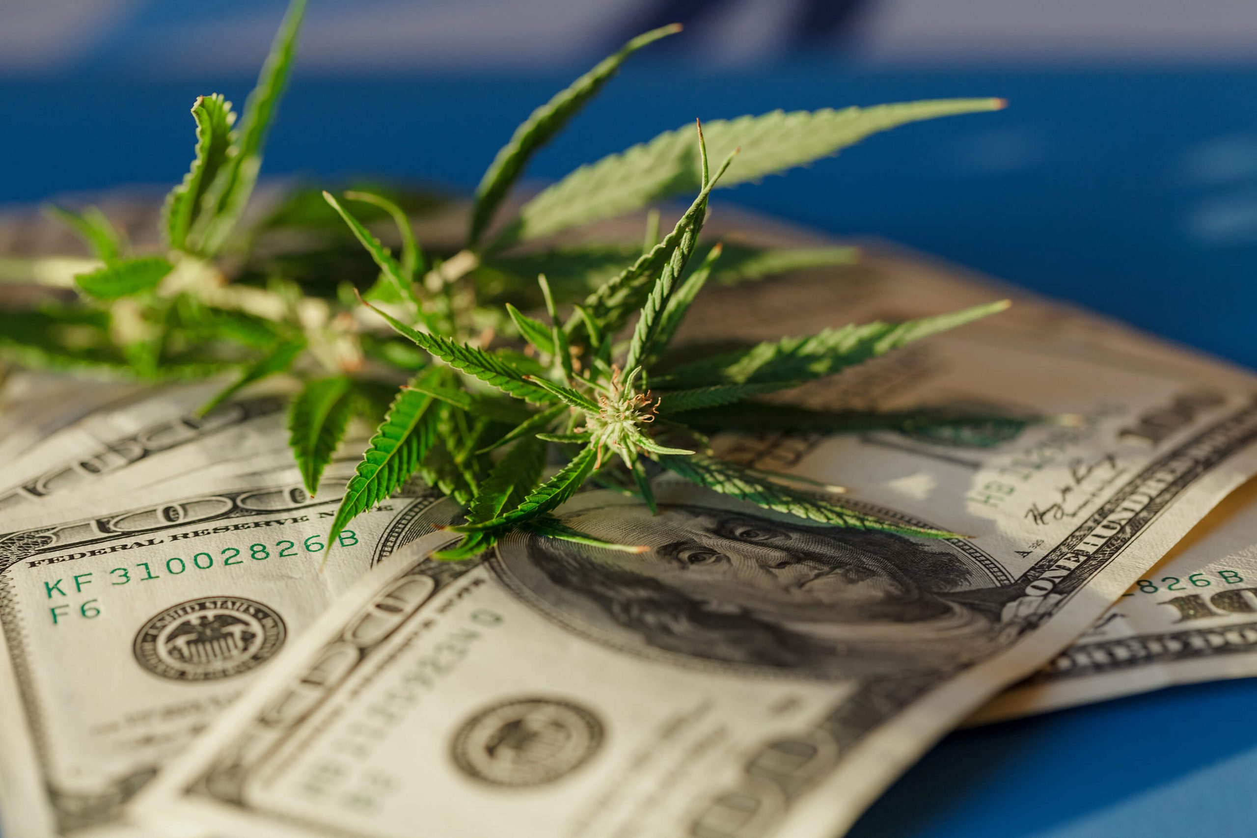 How to Invest in Medical Cannabis: Comprehensive Guide