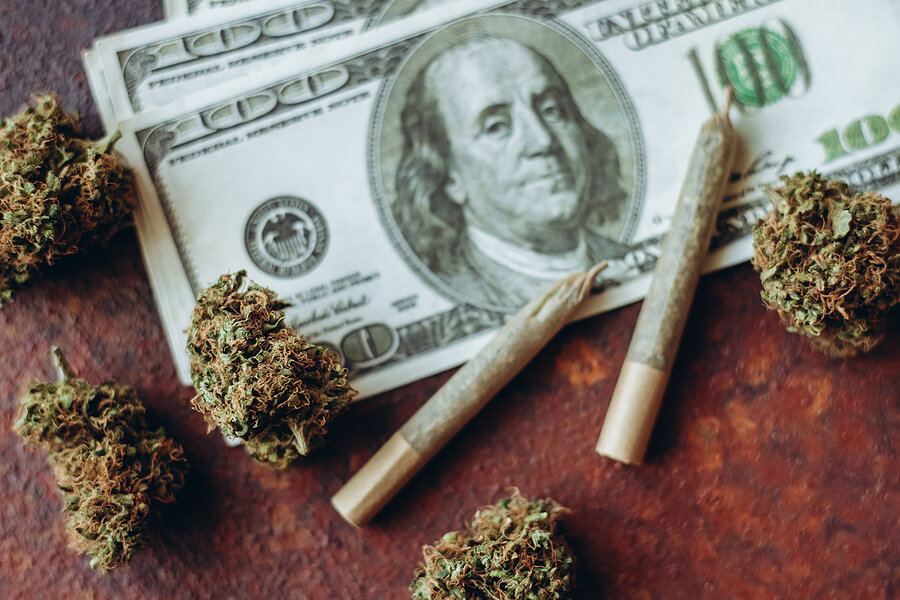 Investing in Cannabis: Tips and Guide