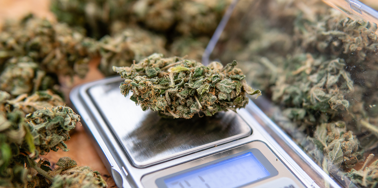 Start Your Cannabis Business Even When on a Budget