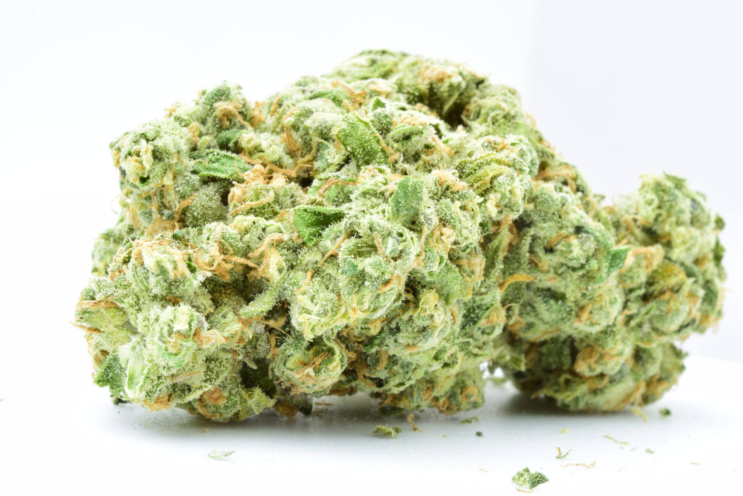 White Widow Strain Profile: The Pride Of The Dutch