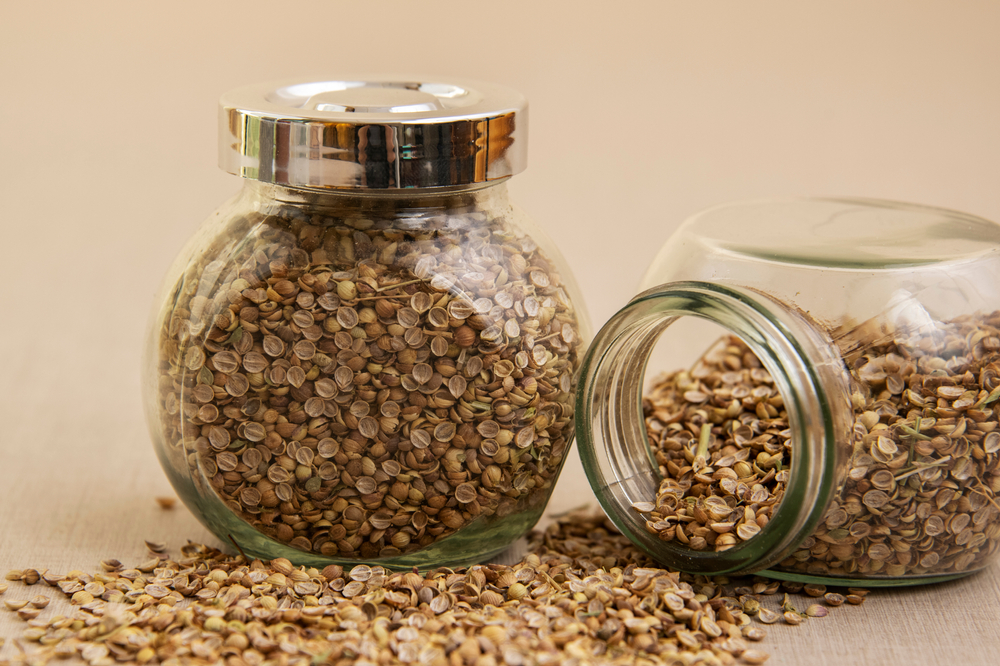 Here’s Everything You Need To Know About Buying Wholesale Cannabis Seeds